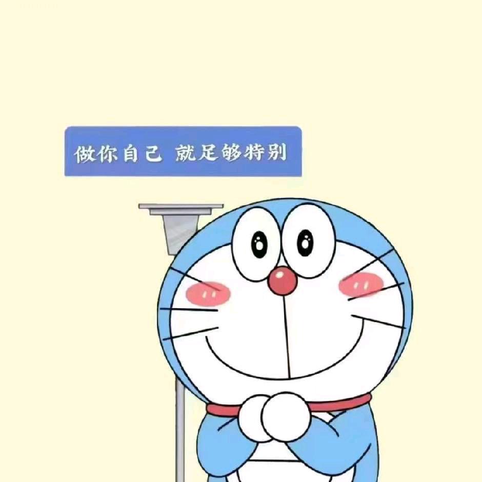 ✨张咚咚🍊