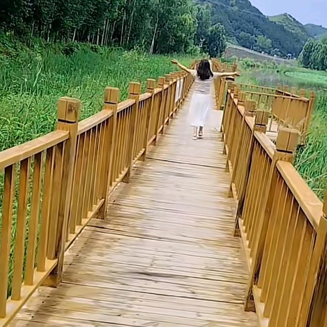 春天的歌声