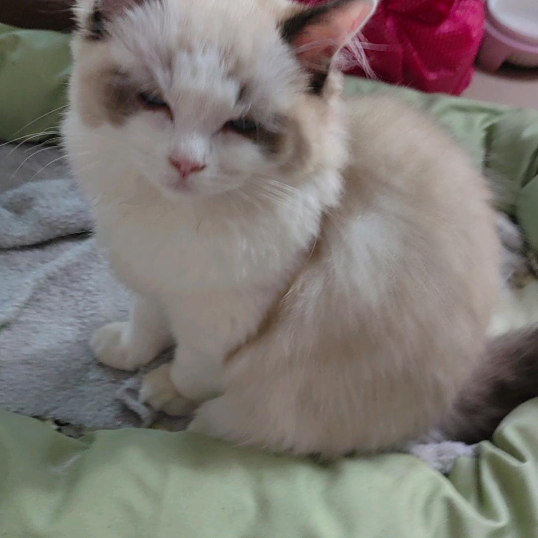 骑着蜗牛去旅行