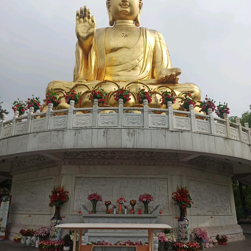 红太阳唐哥19点5分开播