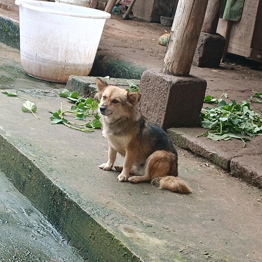 爱情不敌坚持泪