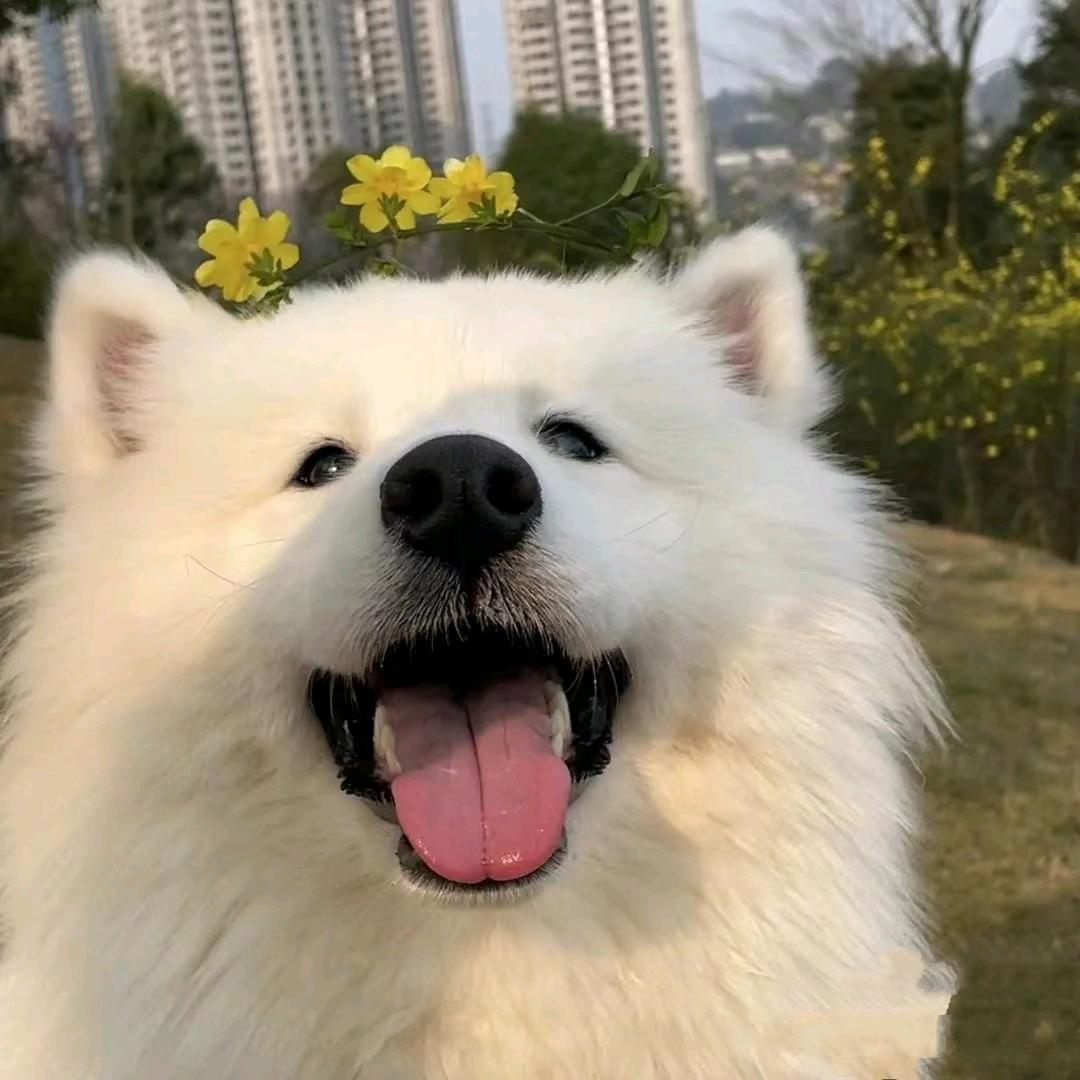 不负✨