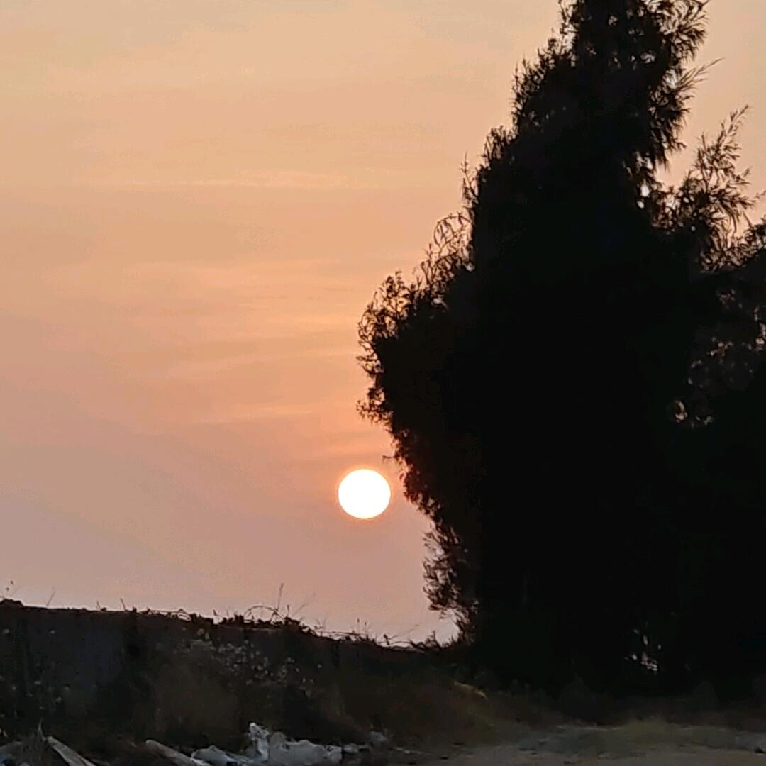 冰心先生🇨🇳