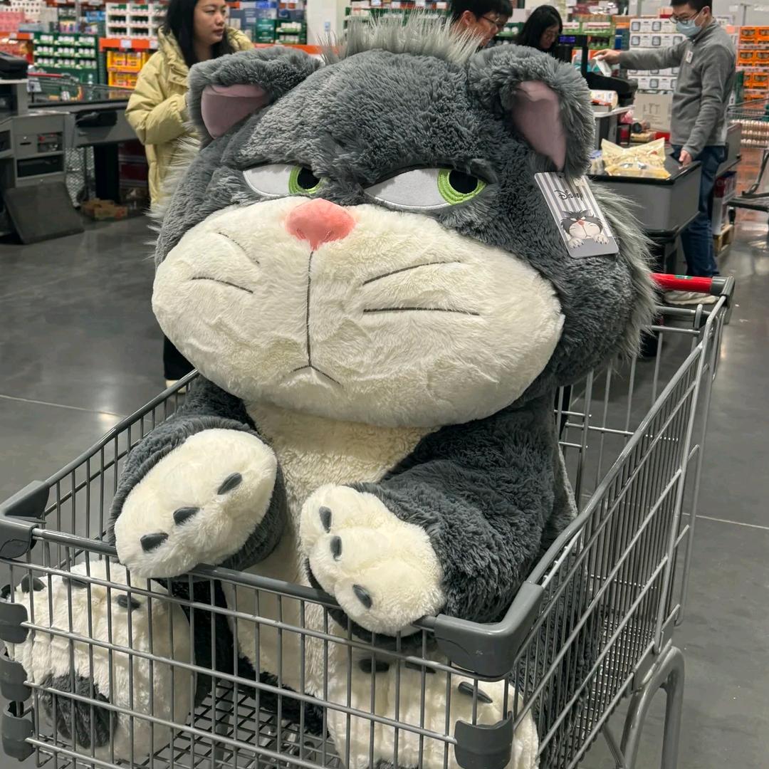 🐰彦念🐰