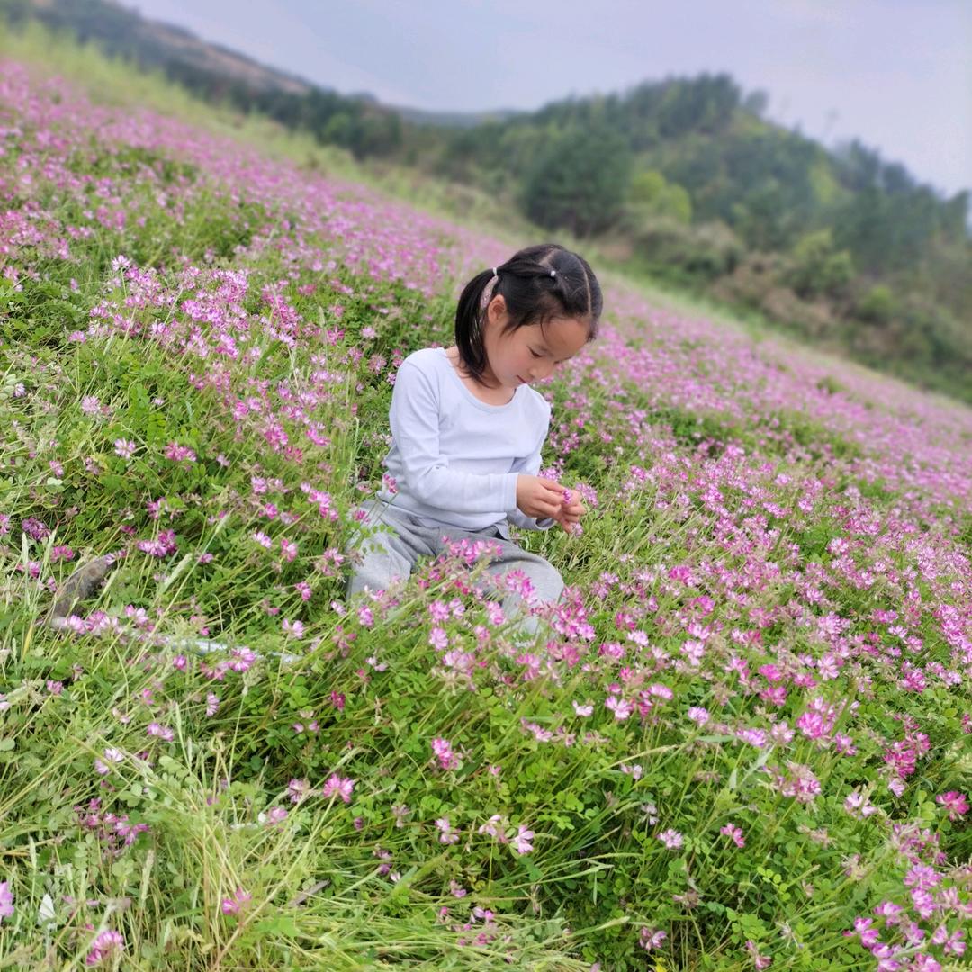 步阳安全门小马