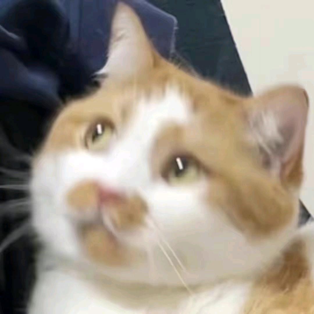 怕死且熄火