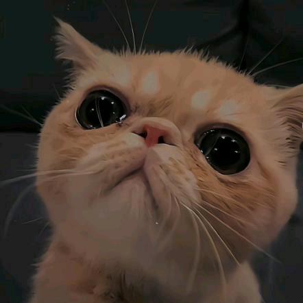 可爱的你~