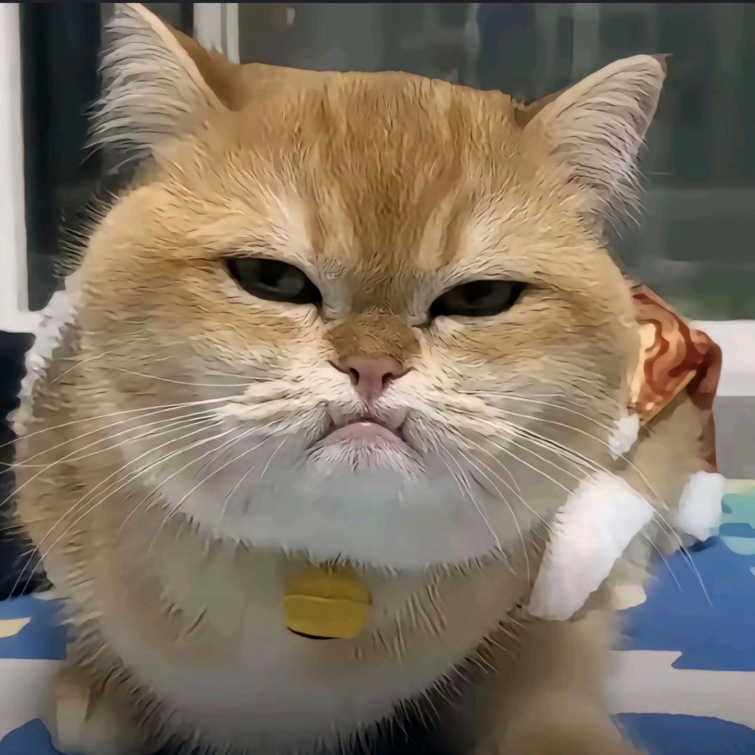攻百万.