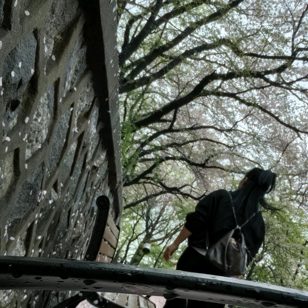 人生若只如初相见