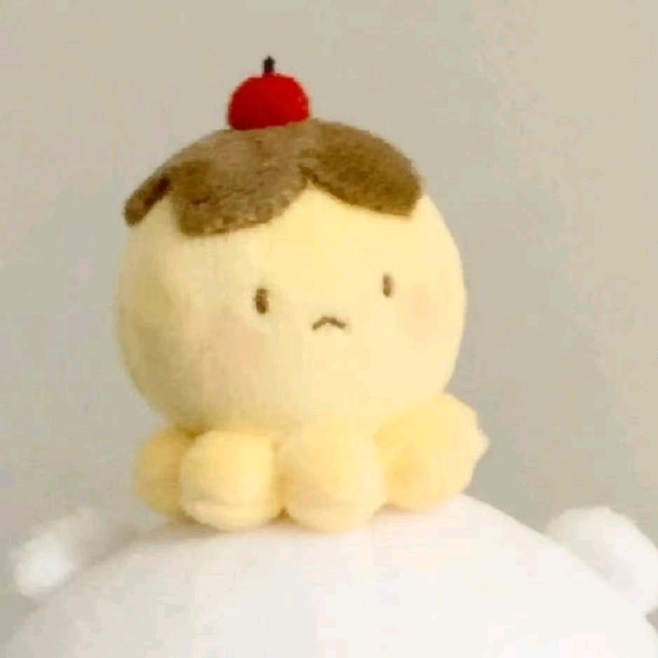 柏挚淮