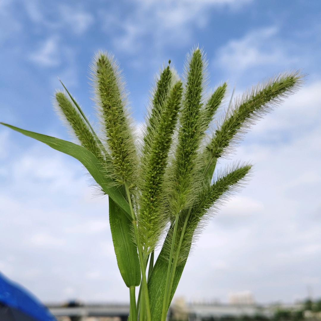 随心所欲的人