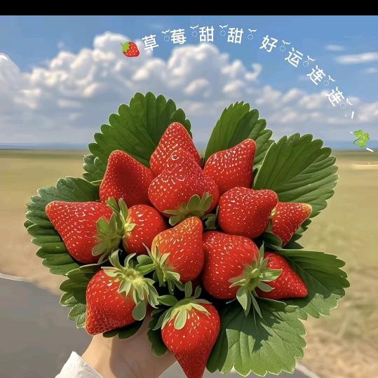 🐶¹⁹₉₄社会 王二邪᭄໌ᮨ້࿐