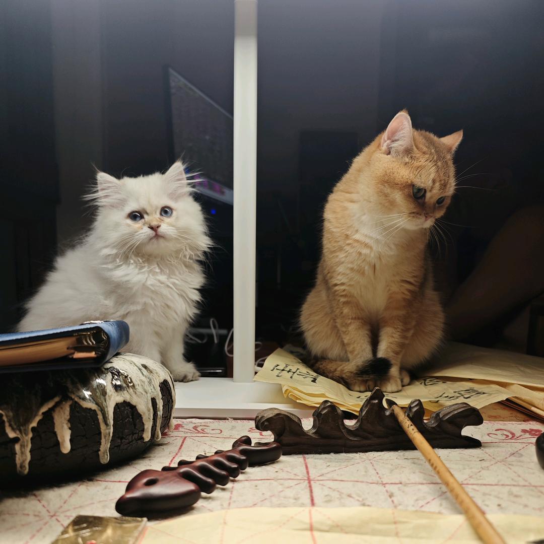 给我清姐装满库😂😁