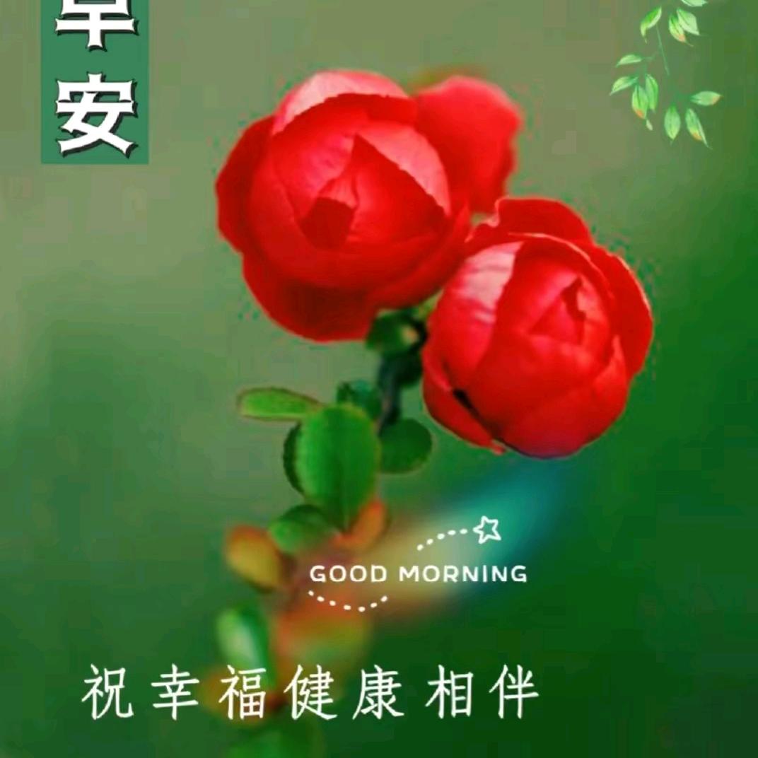 幸福二姐
