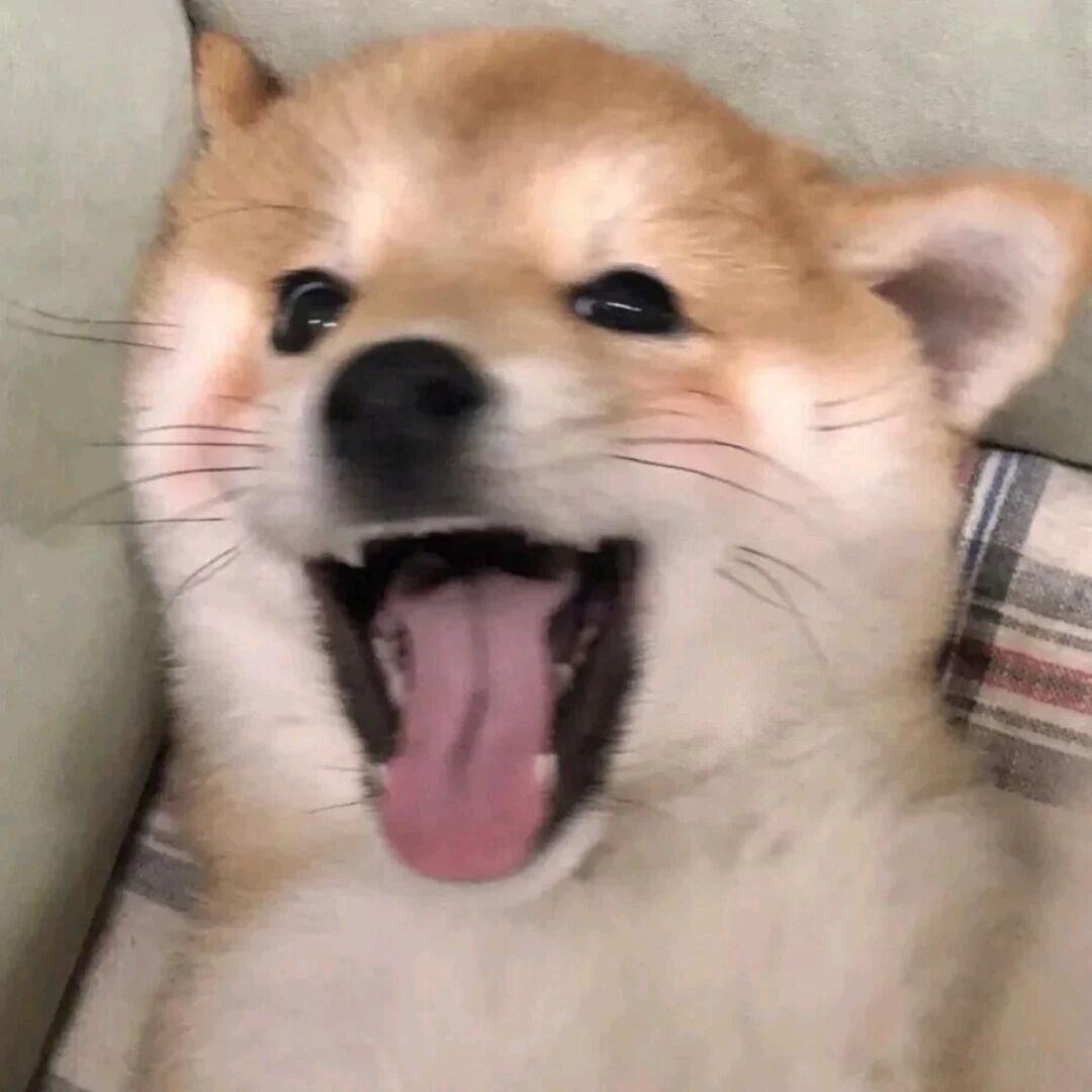 蔡文姬.