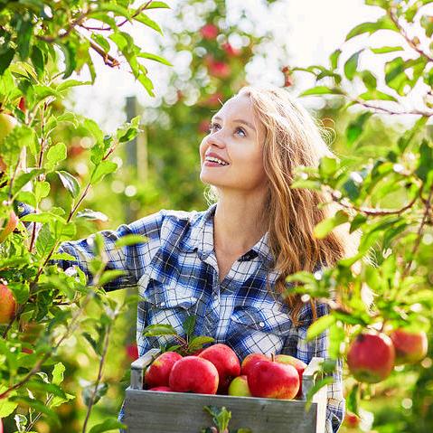 焕姐说农资（拒绝连赞）