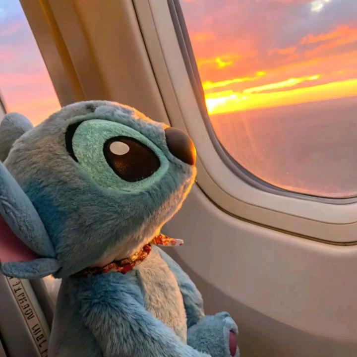 Emotion🔔.（在线接单）