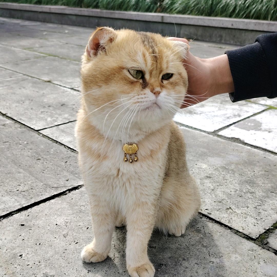 贵州小妹
