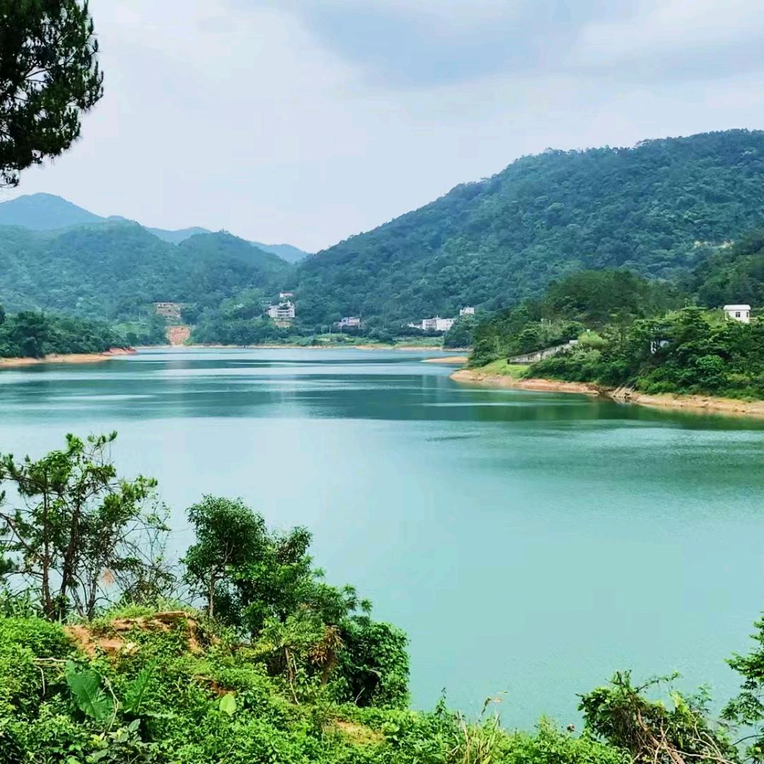 画飞