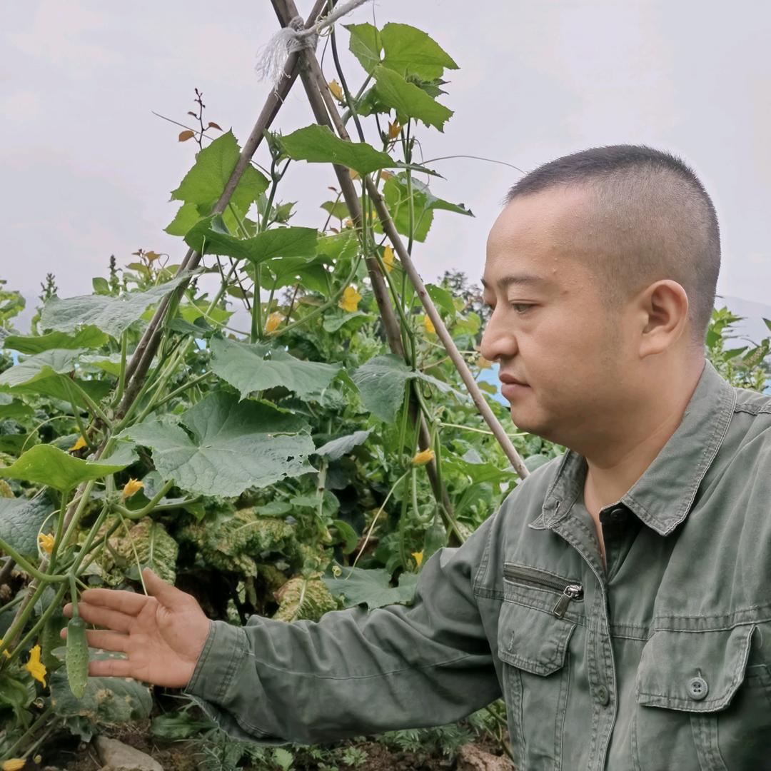 夔首农业
