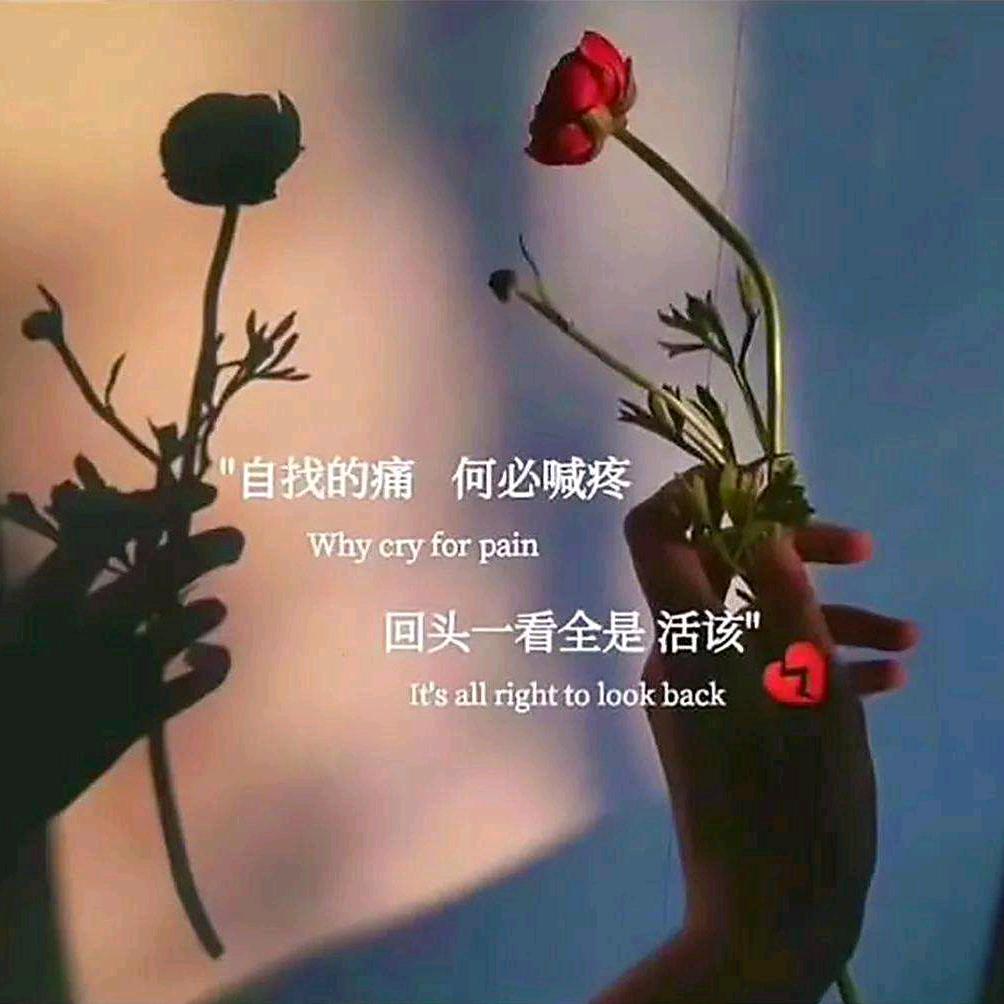 এ᭄情深   ꦿ缘浅 ོ࿐ᩚ