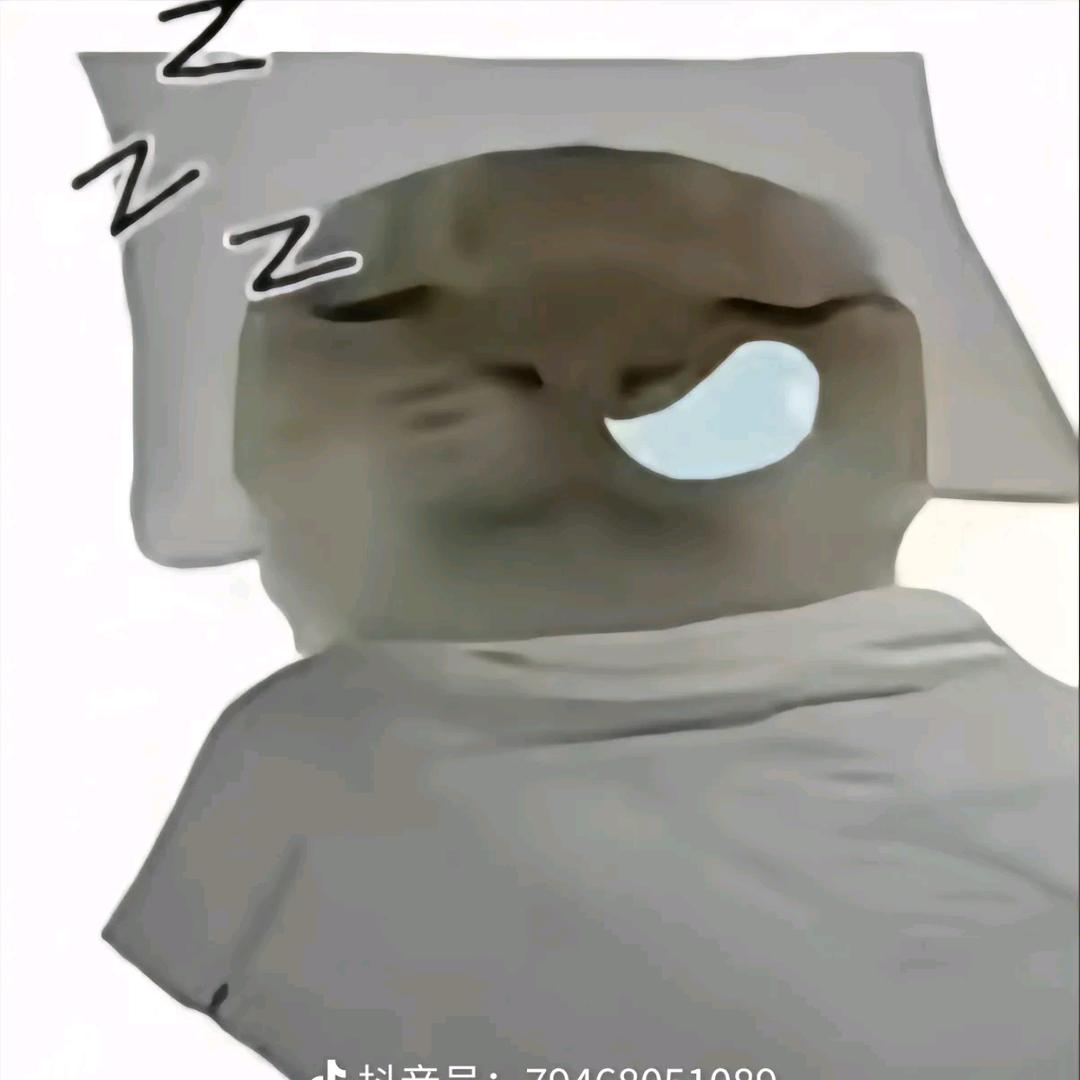 无敌哈基米