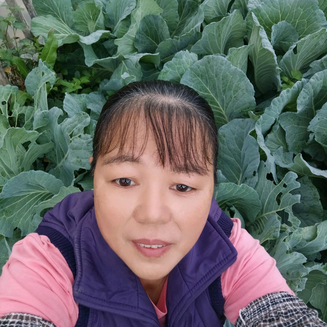 凤姐（7：20首播)