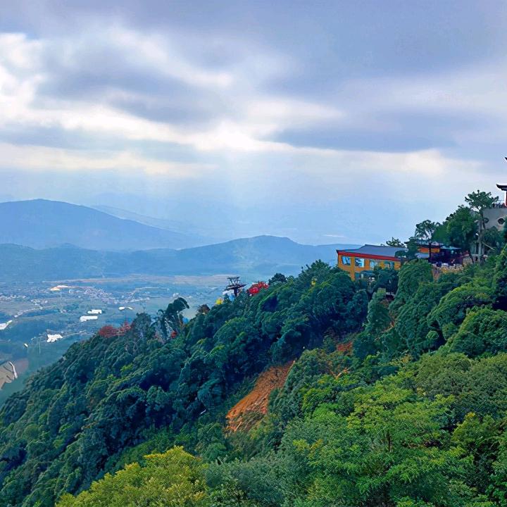 缘来在一起