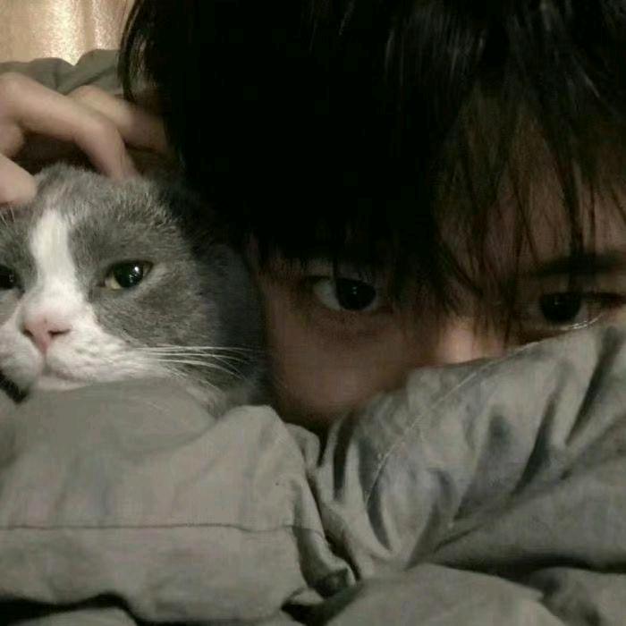 秦莫