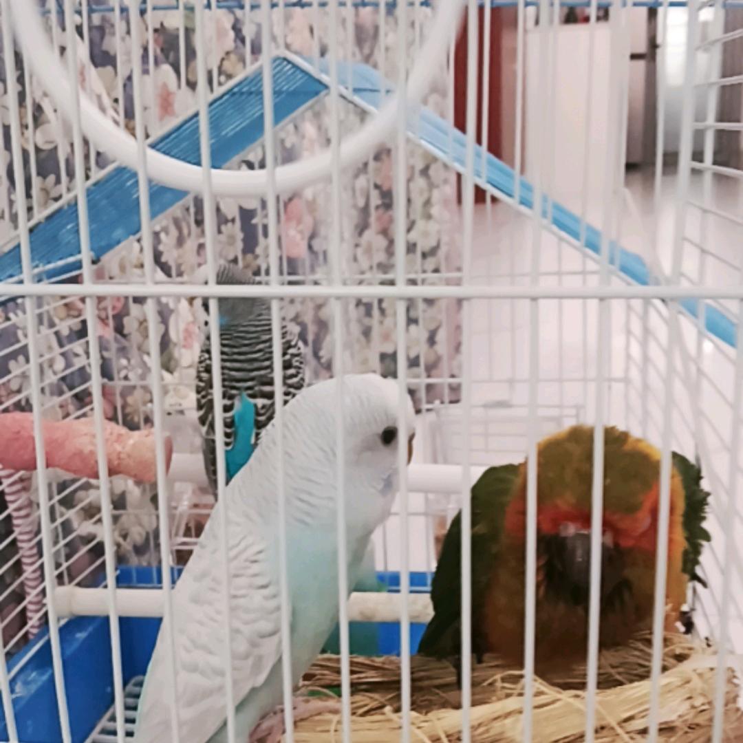 黄炜林༽༃ༀ༇༒༼