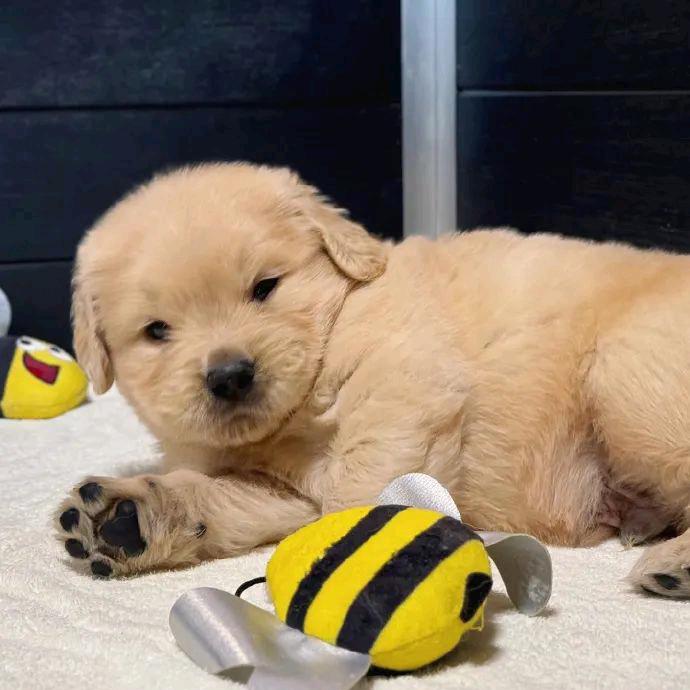 丢丢丢丢丢丢丢丢丢丢