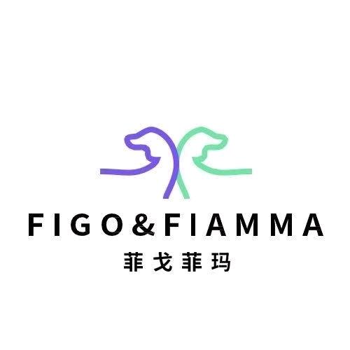 菲戈菲玛鞋业
