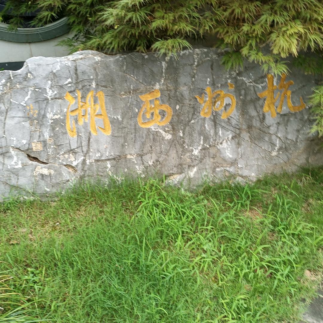 丁丁