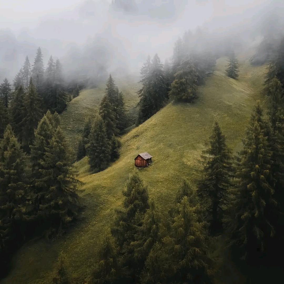 Avicii