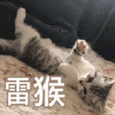 老留忙