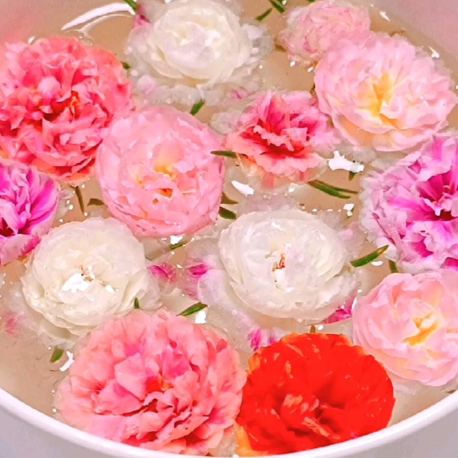 燕子