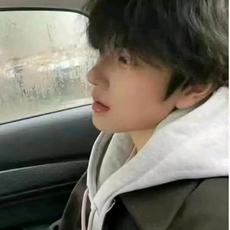 小熊