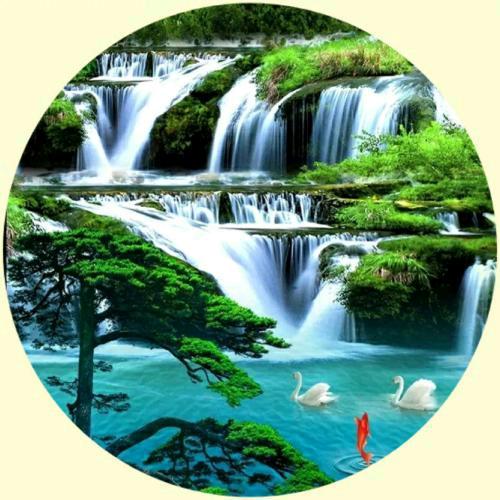 走向成功实现中国梦