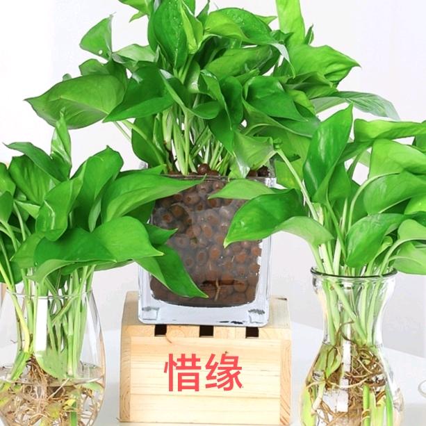 惜缘🌹