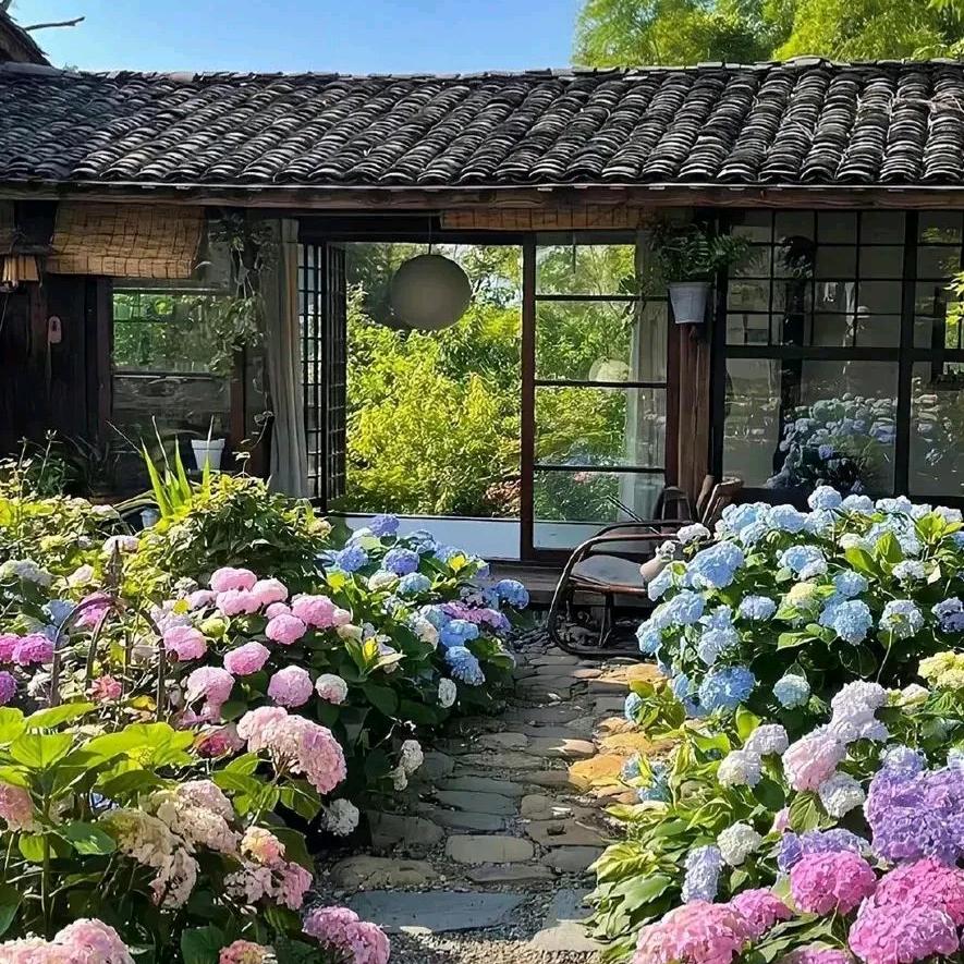 一缕月光