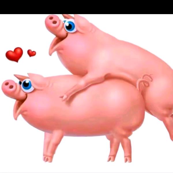 ⚠️官方提示，你的内容已违规请立即关