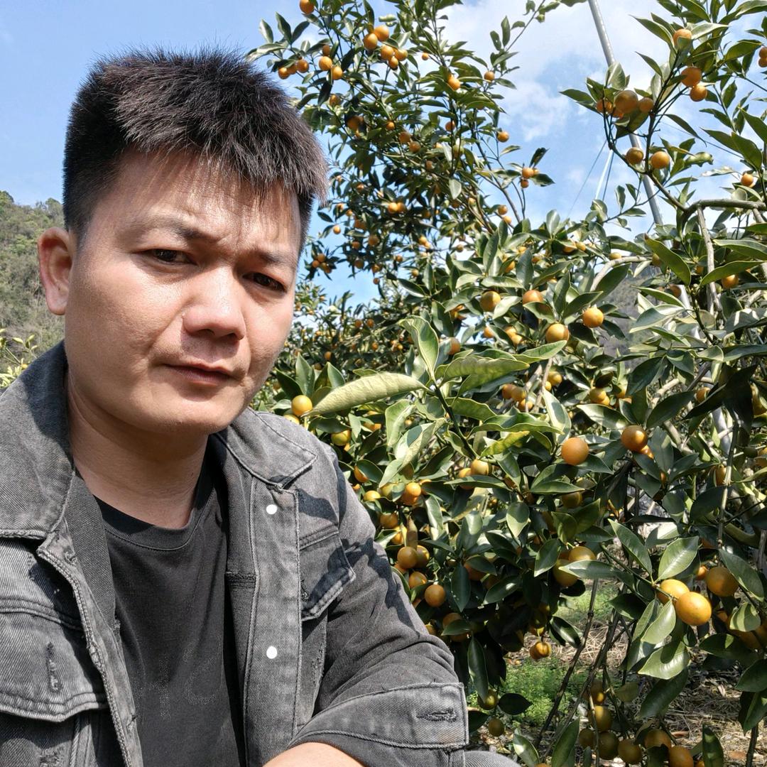 灿果果