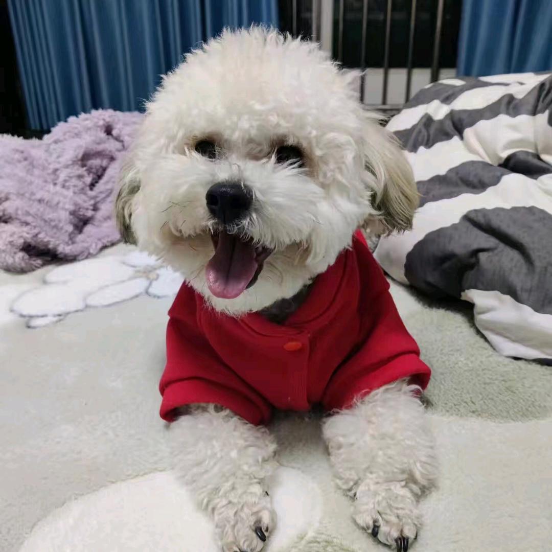 @你的通迅录