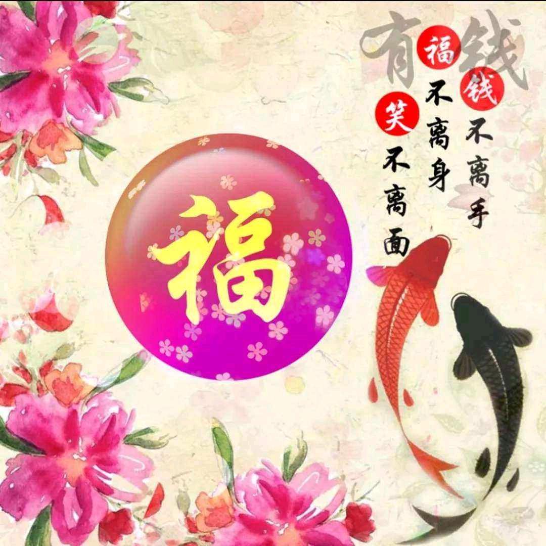 小刀电动车(解放路店)专用号
