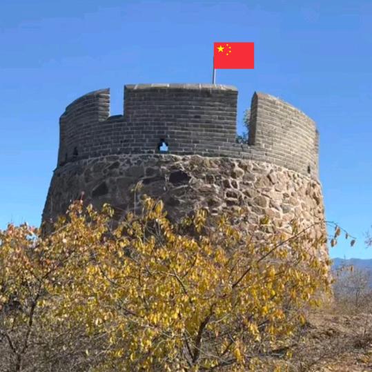 秀丽