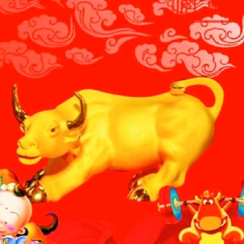 河南小张（蔬菜批发）阿克苏