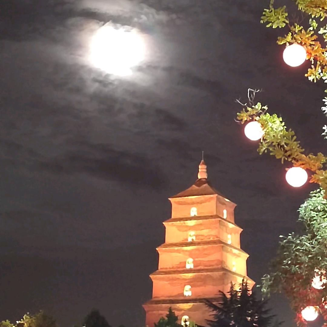 罗丽丝好物分享官邓喜梅