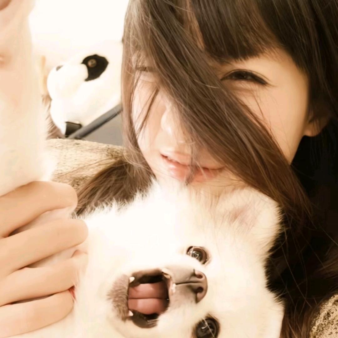 梦.