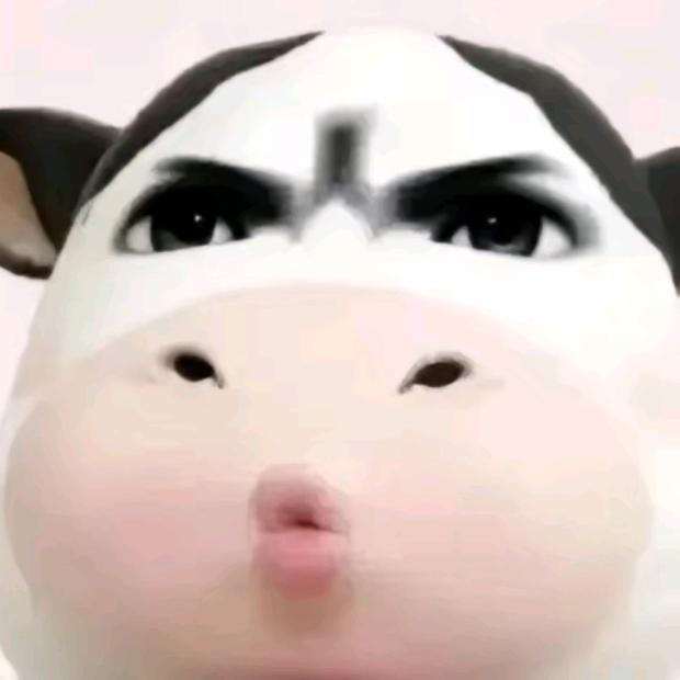什么鱼香肉丝