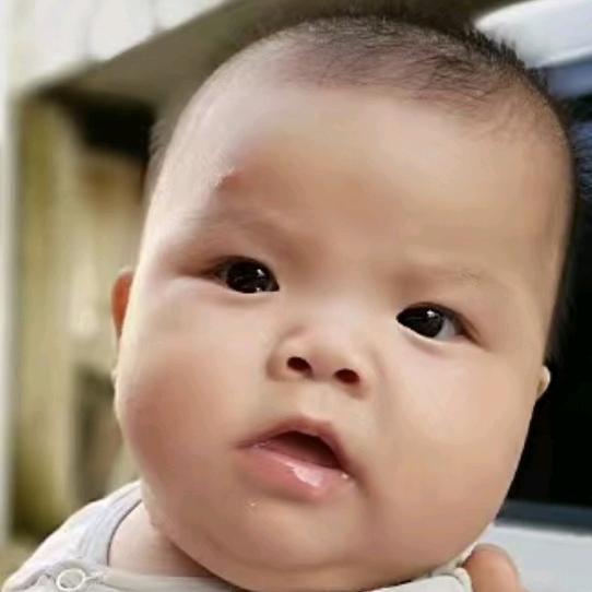 小小白